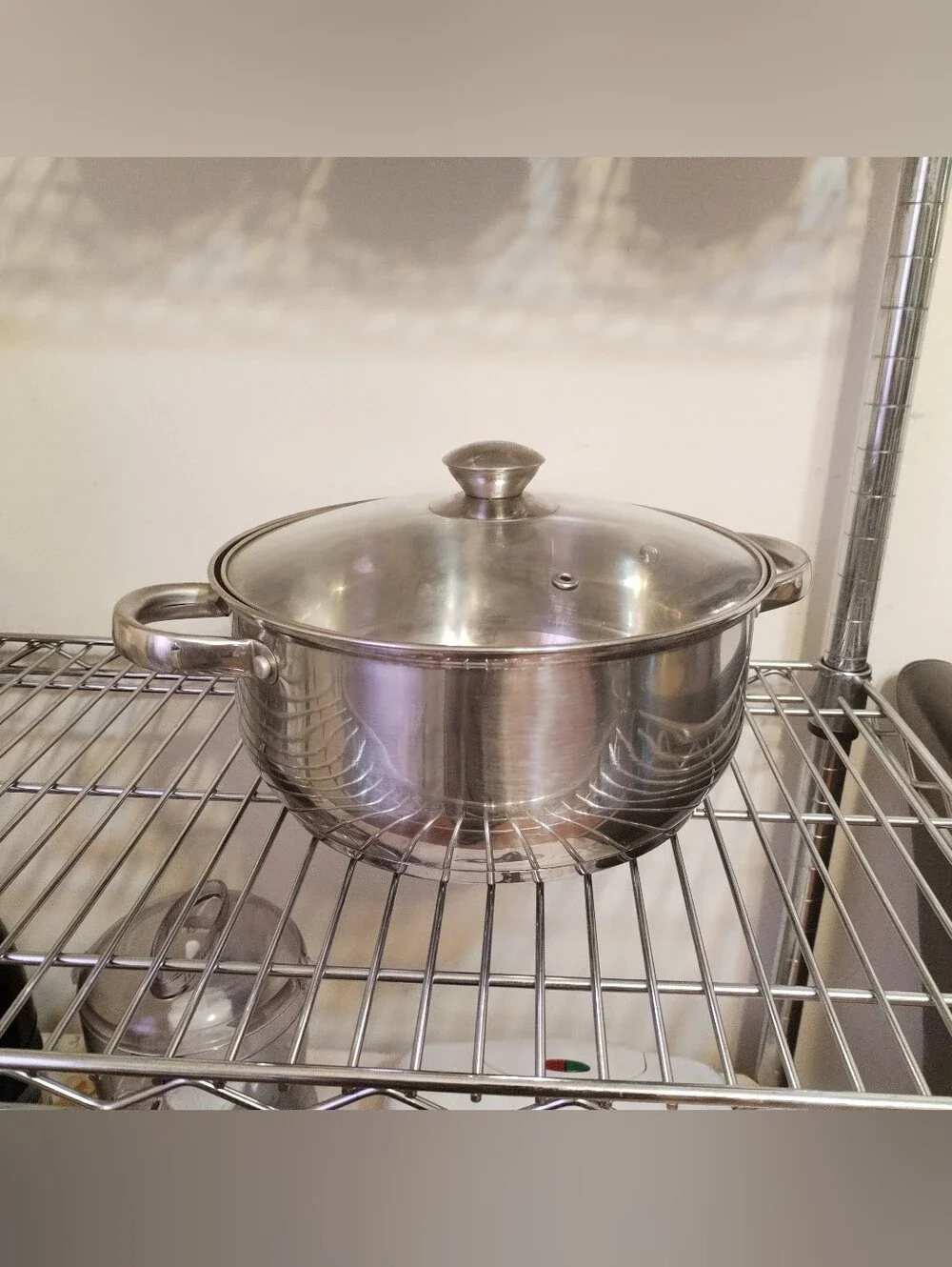 Ecolution Stainless Steel Stockpot with Glass Lid - Silver